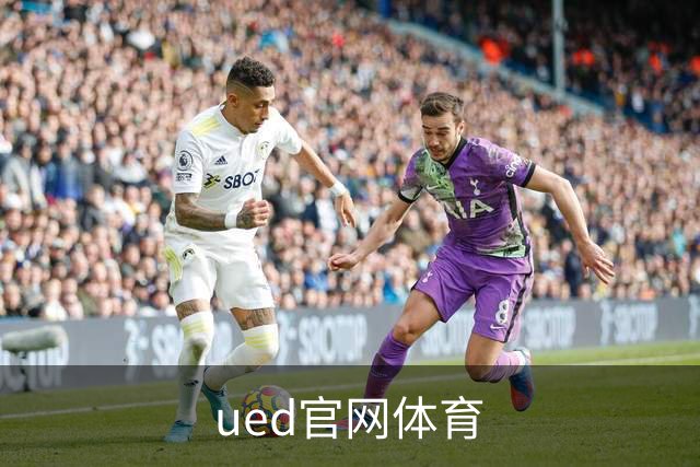 ued官网体育公司介绍